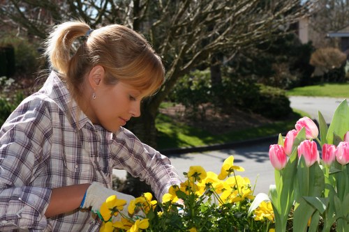 Gardener explaining maintenance plan in large print