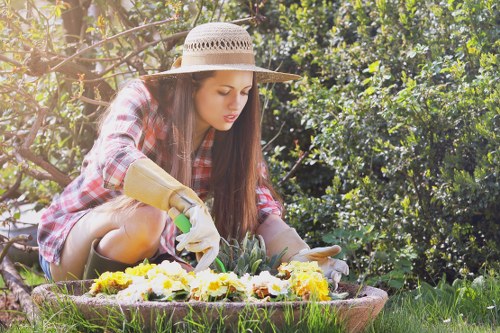 Professional garden maintenance services in Northolt